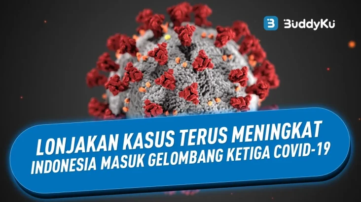 Indonesia Memasuki Gelombang...