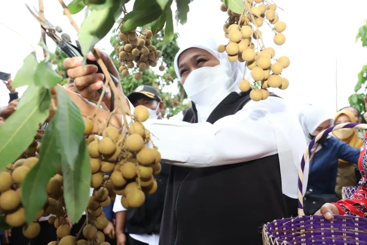 Gubernur Khofifah Puji...