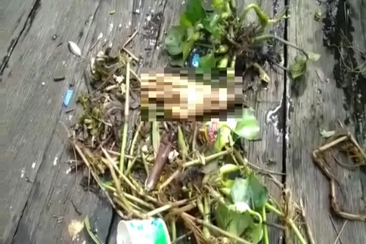 Penemuan Potongan Tangan...