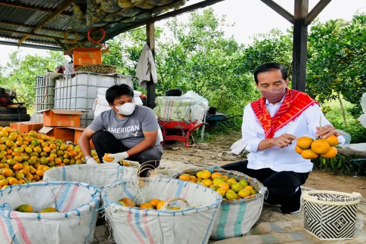 Presiden Jokowi Telepon...