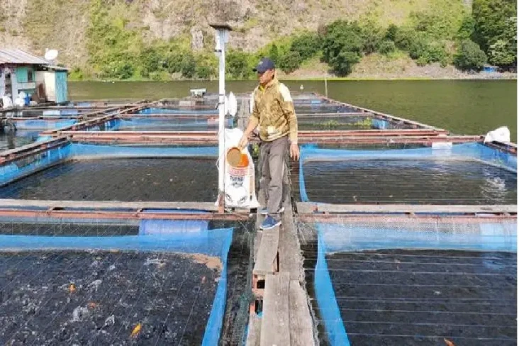 Maknyus! Ikan Nila Danau...