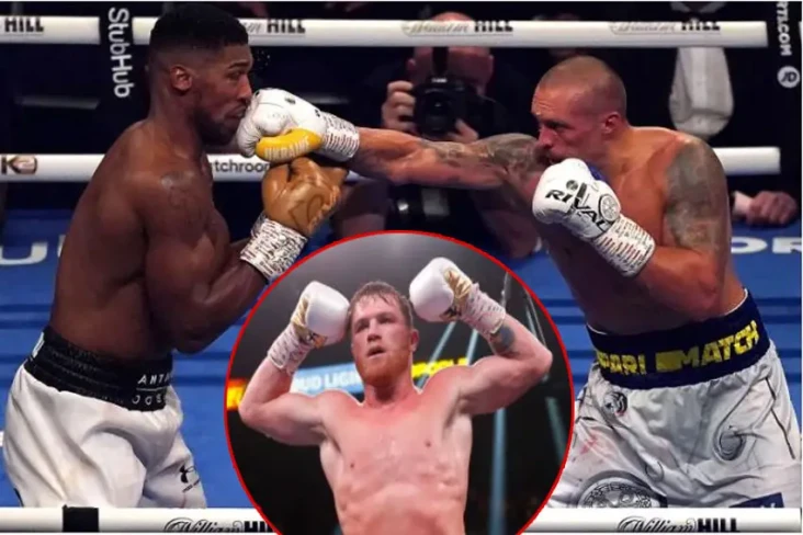 Bobot Beda 33 Kg, Hearn:...