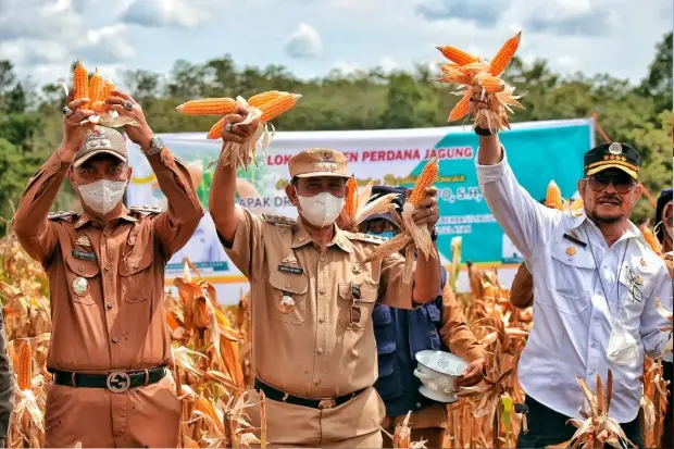 SYL Minta Pemkab Wajo...