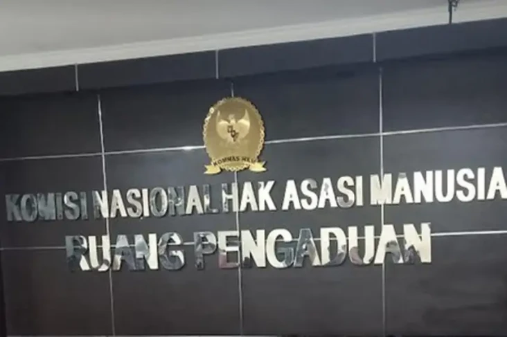 Kasus Wadas, Komnas...