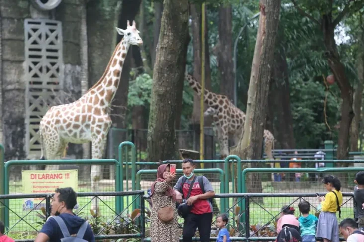 Tempat Wisata di Wilayah...