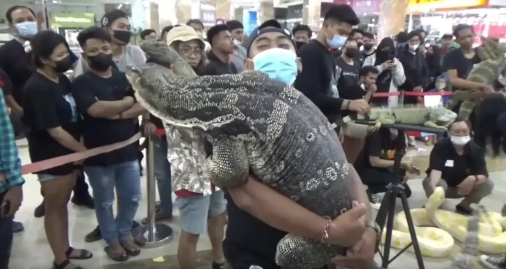 Kontes Unik, Puluhan...