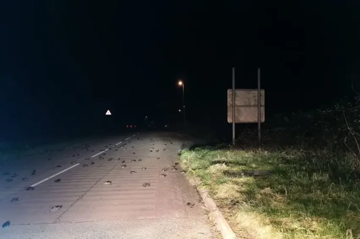 Mati Misterius, Tiba-tiba...