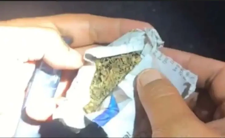 Sembunyikan Ganja Kering,...