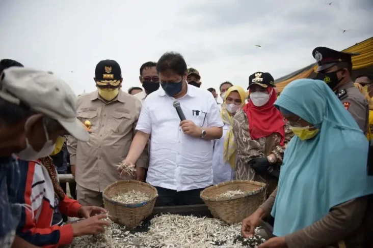 Produksi Ikan Teri Asin...