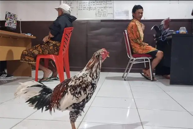 Isi Waktu Luang dengan...