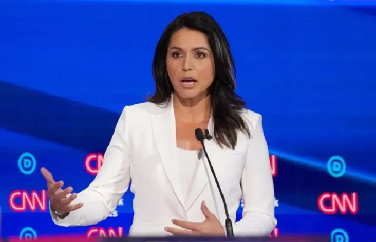 Tulsi Gabbard: Industri...