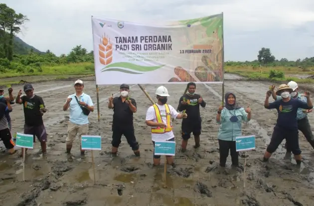 PT Vale Tanam Perdana...