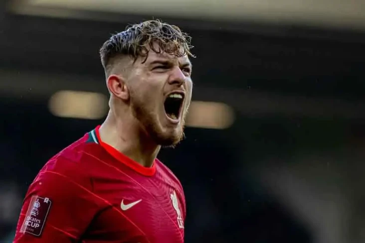 Harvey Elliott, Pemain...