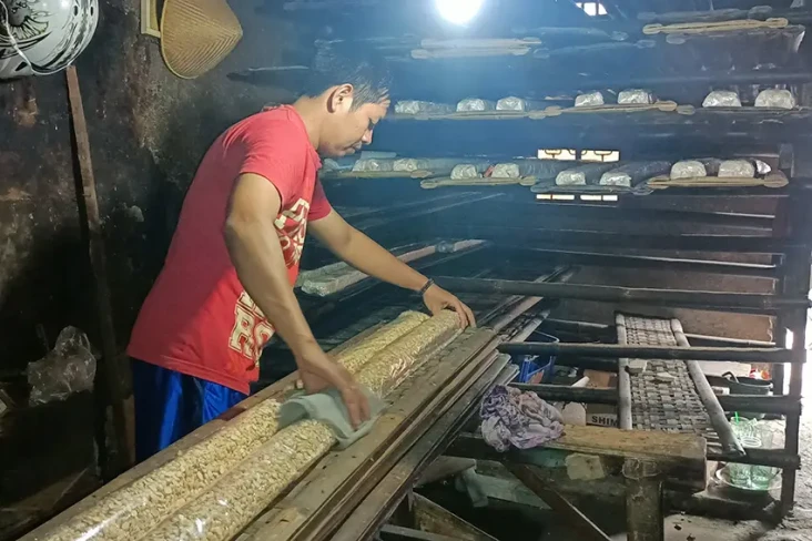 Harga Kedelai Meroket,...
