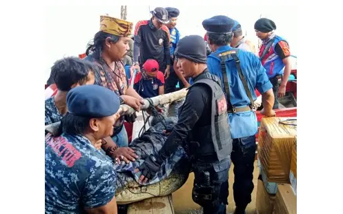 Penampakan Buaya 5 Meter...