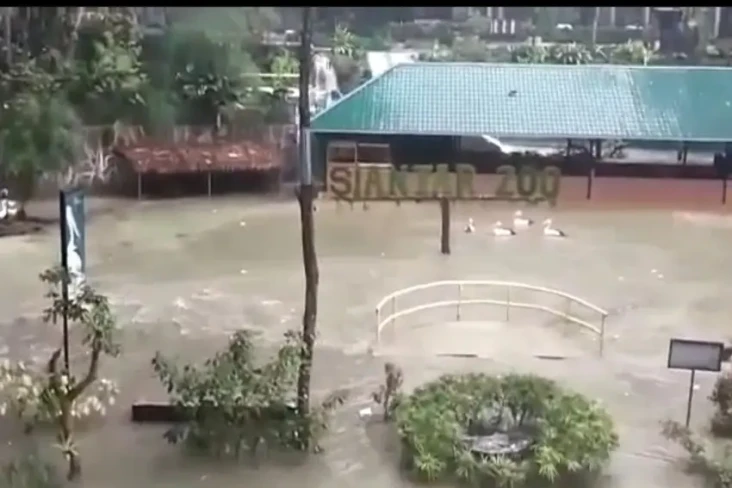 Taman Hewan Pematangsiantar...