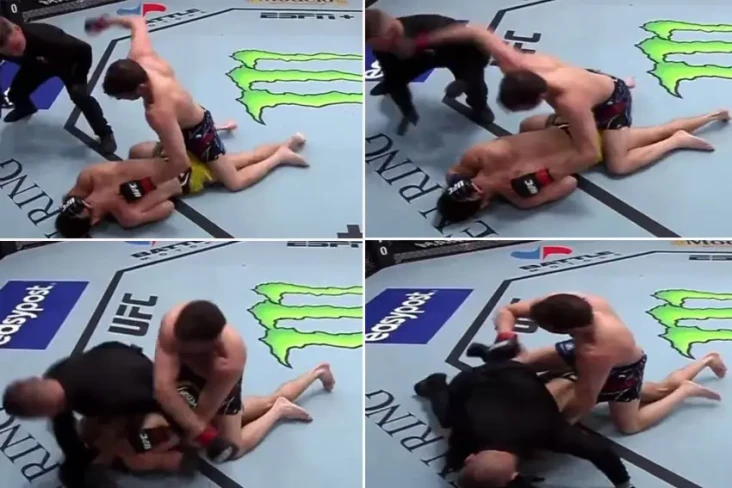 Wasit MMA KO Tersambar...