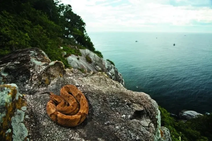 4 Pulau Ini Dihuni Lebih...