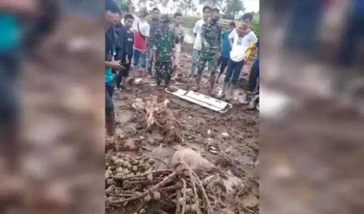 Gempa Terkini Pasaman...
