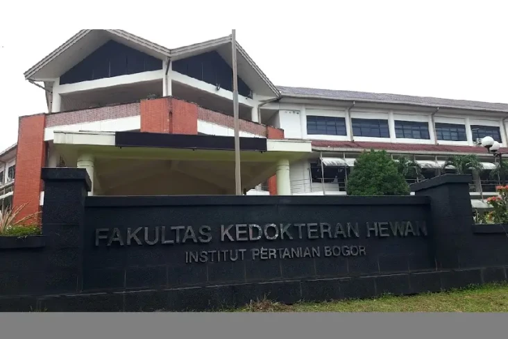 Transformasi, IPB University...