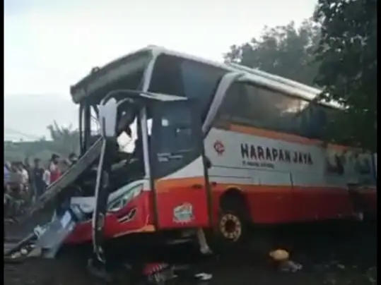 Fakta-fakta Bus Pariwisata...