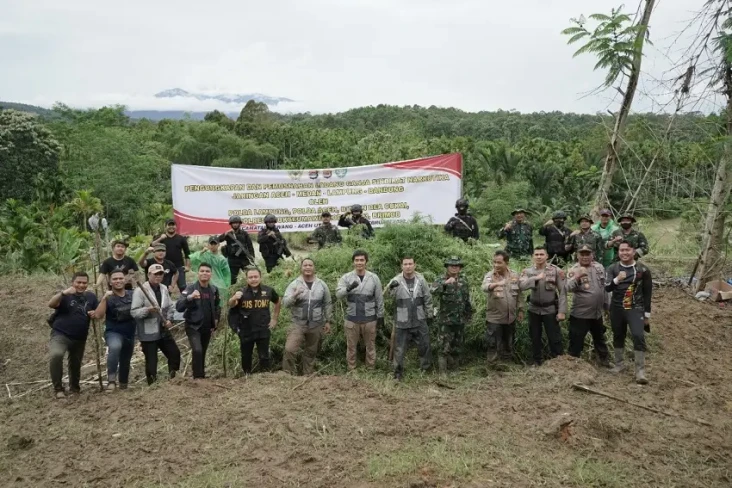 Aparat Musnahkan Ladang...