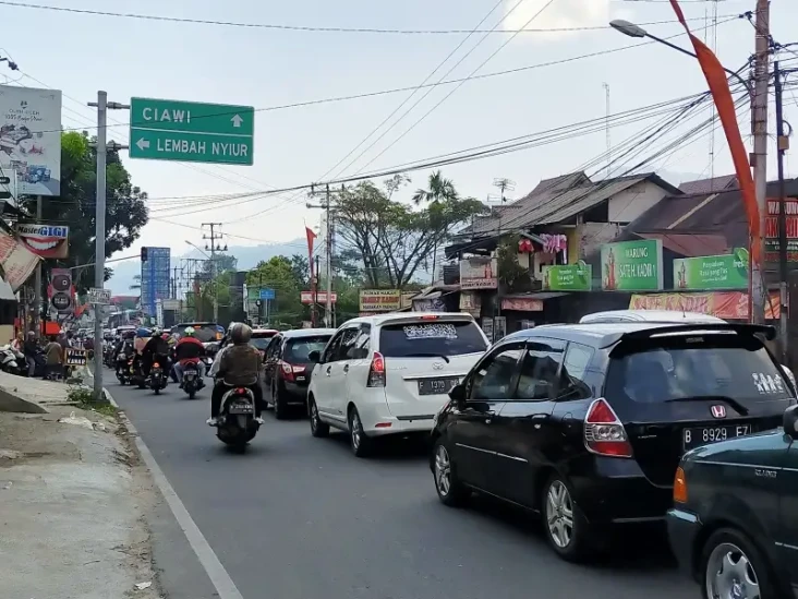 Pengunjung Membeludak...