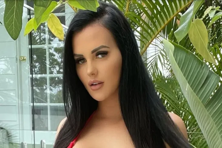 Artis Porno Miliuner...