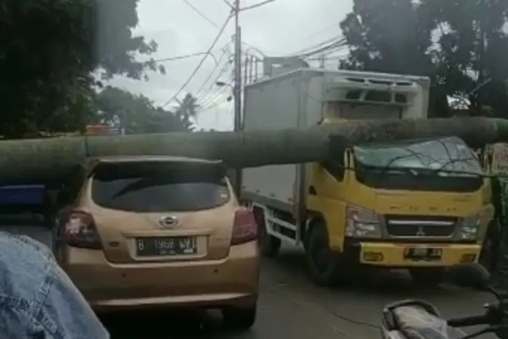 Pohon Tumbang di Tangsel,...