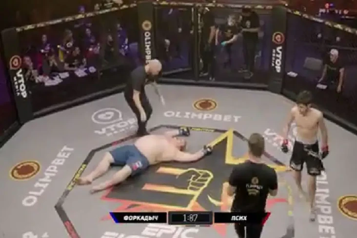 Gila, Raksasa MMA 171...