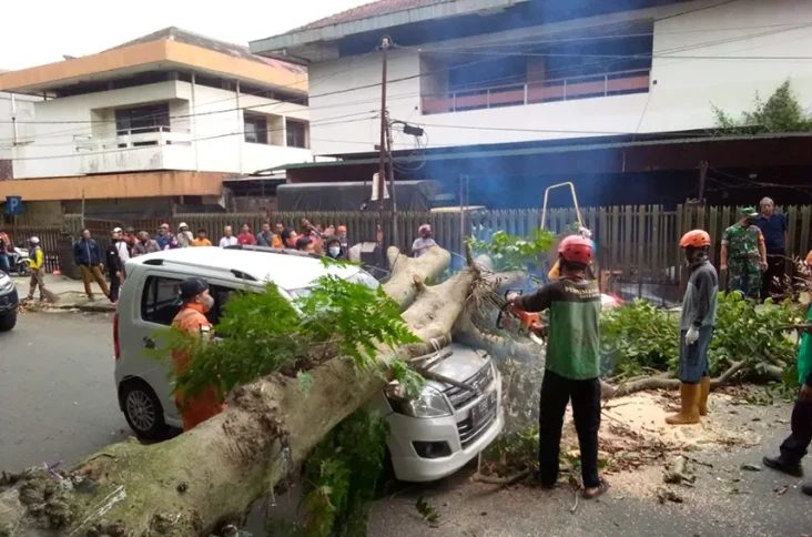 Angin Kencang Sapu Bogor,...