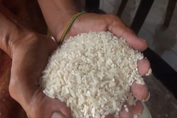 Produksi Beras Sulsel...