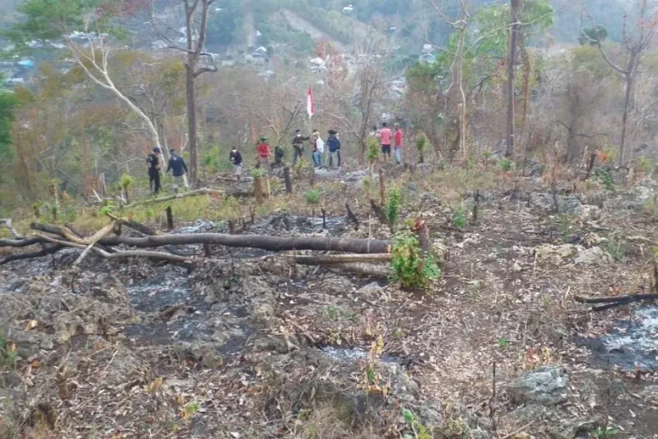 Menyulap Hutan yang...