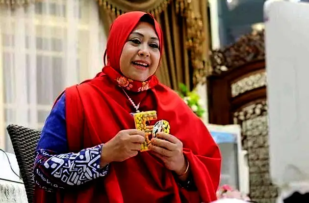 Peringati IDW, Erna...