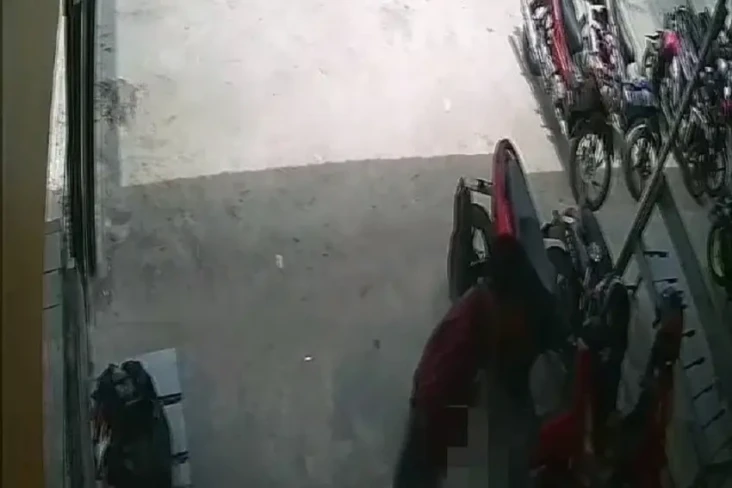 Geger Pria Pamer Kemaluan...