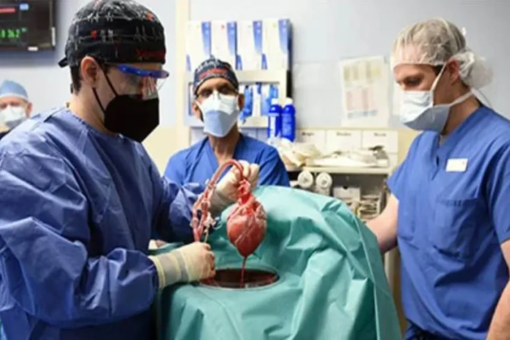 Dokter Selidiki Misteri...