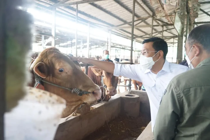 Daging Sapi Lokal Siap...