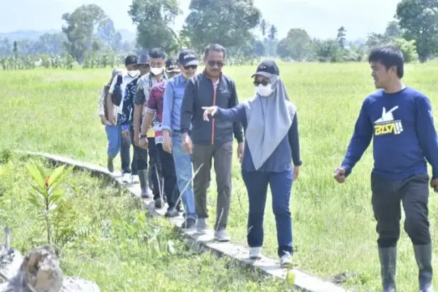 Pemkab Luwu Utara Rehab...