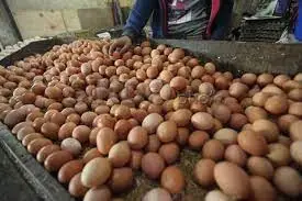 Harga Telur di Garut...