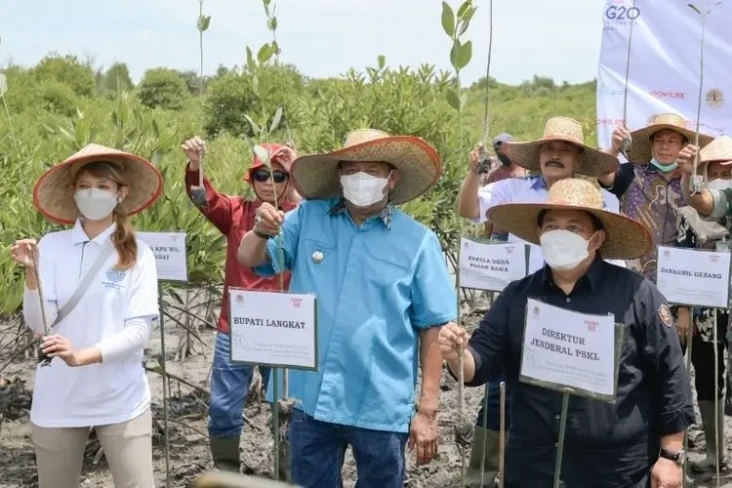 Padat Karya Mangrove...
