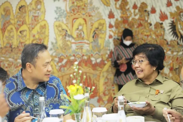 Dicanangkan Jokowi,...