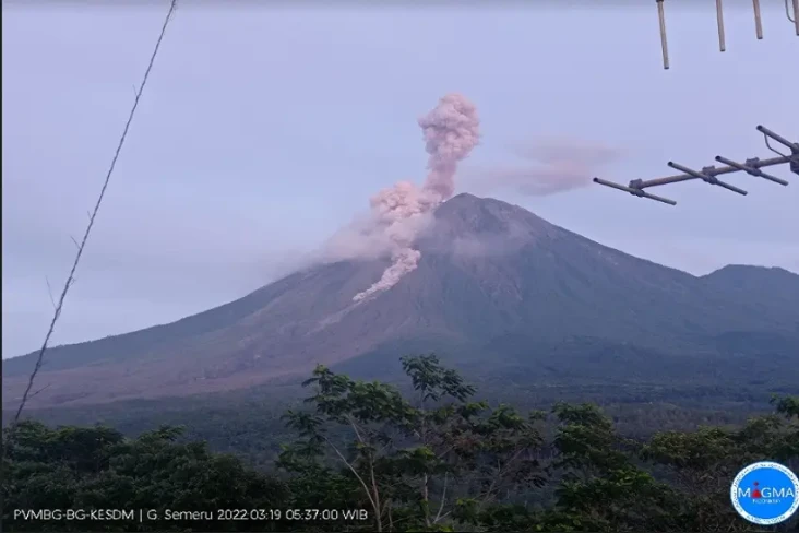 Gunung Semeru Erupsi,...
