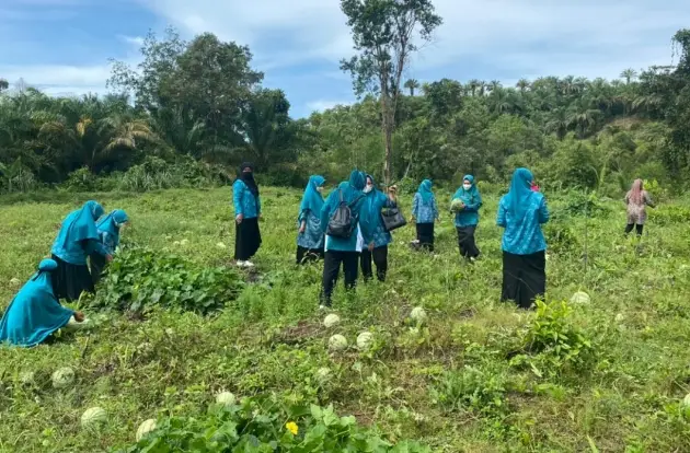 TP PKK Lutra Bakal Gelar...