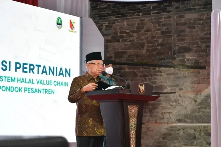 Wapres Ungkap Data Amerika...