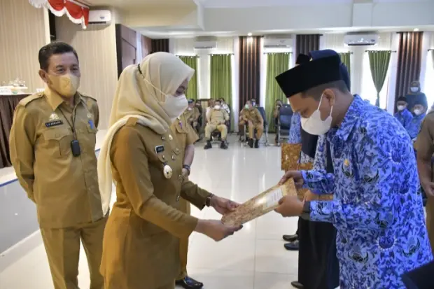159 CPNS Formasi Tahun...