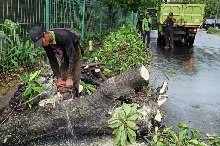 Hujan Disertai Angin,...