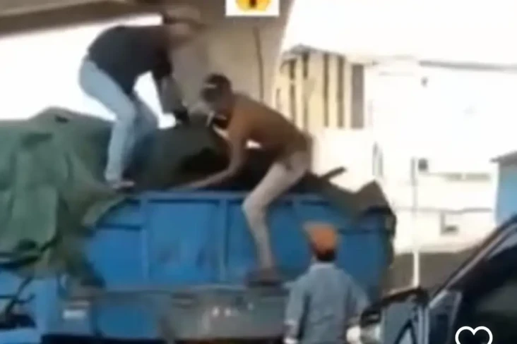 Viral Komplotan Bajing...