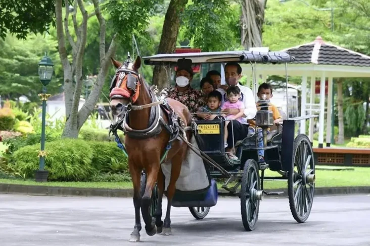 Isi Hari Minggu, Jokowi...