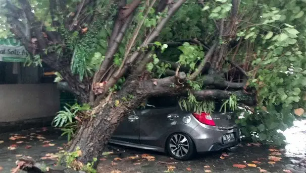 Hujan Disertai Angin...