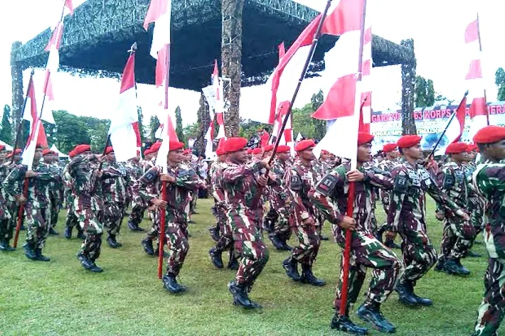 TNI AD Benarkan Adanya...
